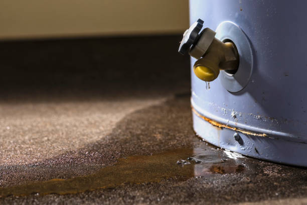 Best Flooded house restoration  in Wayne City, IL
