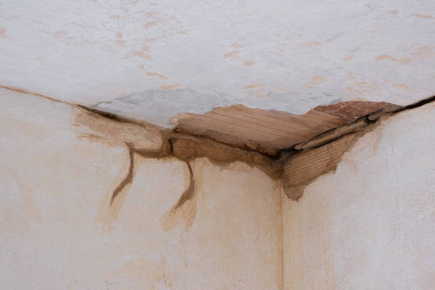 Best 24-hour water damage restoration  in Wayne City, IL