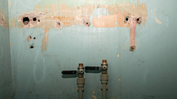 Best Ceiling water damage repair  in Wayne City, IL