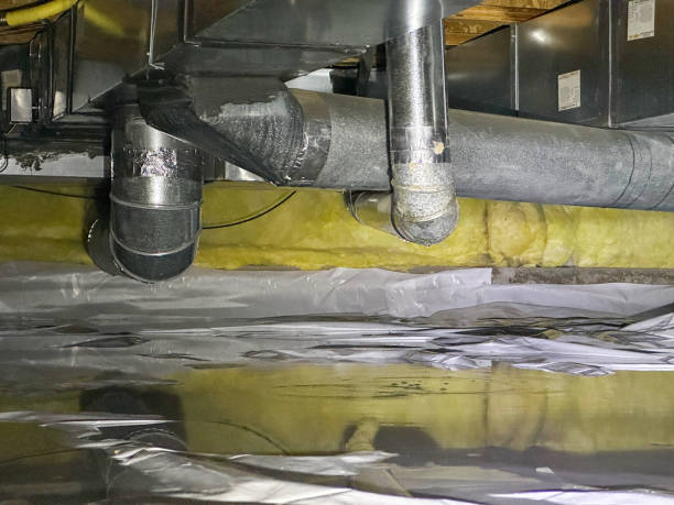 Best Emergency water damage restoration  in Wayne City, IL