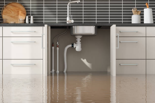 Best Basement water damage restoration  in Wayne City, IL