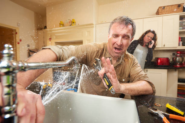 Water damage restoration mold remediation in IL